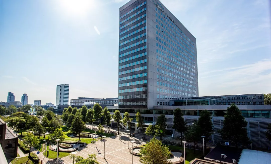 Rotterdam School of Management